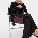 Armani Exchange Metallic Jewel Mini Bag in Bordeaux
