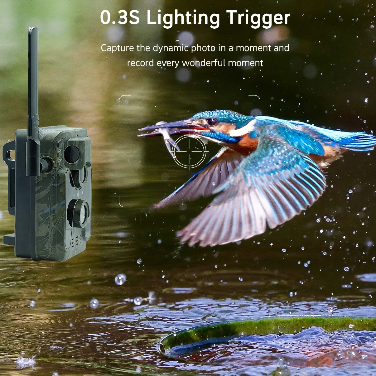 4G LTE Solar Trail Camera 4MP with Night Vision & Motion Detection