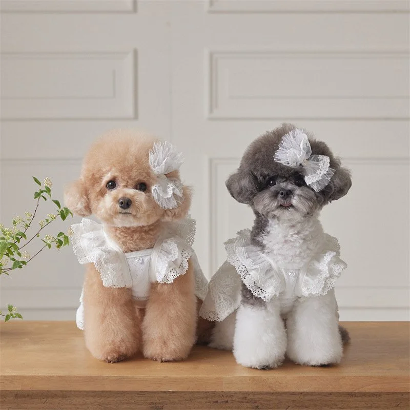 Princess Lace Pet Dress for Small Dogs and Cats – Summer Tulle Outfit
