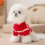 Festive Red Striped Knitted Dog Sweater – Warm Pet Outfit