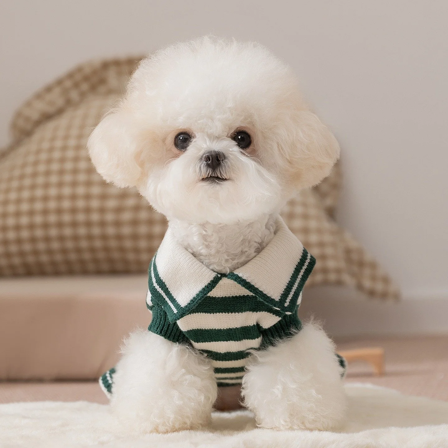 Winter Striped Princess Dog Dress