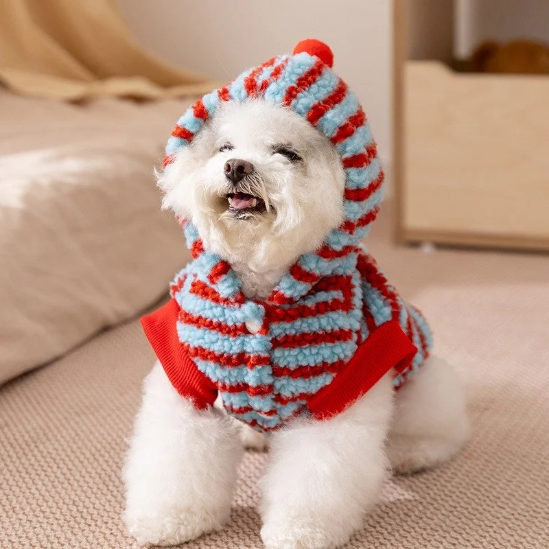 Cartoon Striped Winter Dog Hoodie