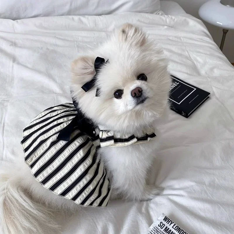 European Style Dog Dress with Large Bow for Small Dogs