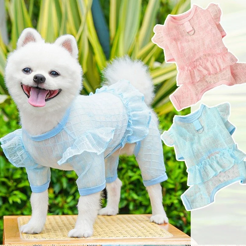 Bichon Frise Puppy Plaid Mesh Bodysuit with Lace Pants – Breathable Pet Outfit