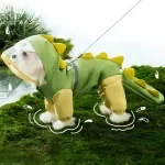 Medium & Large Dog Dinosaur Raincoat