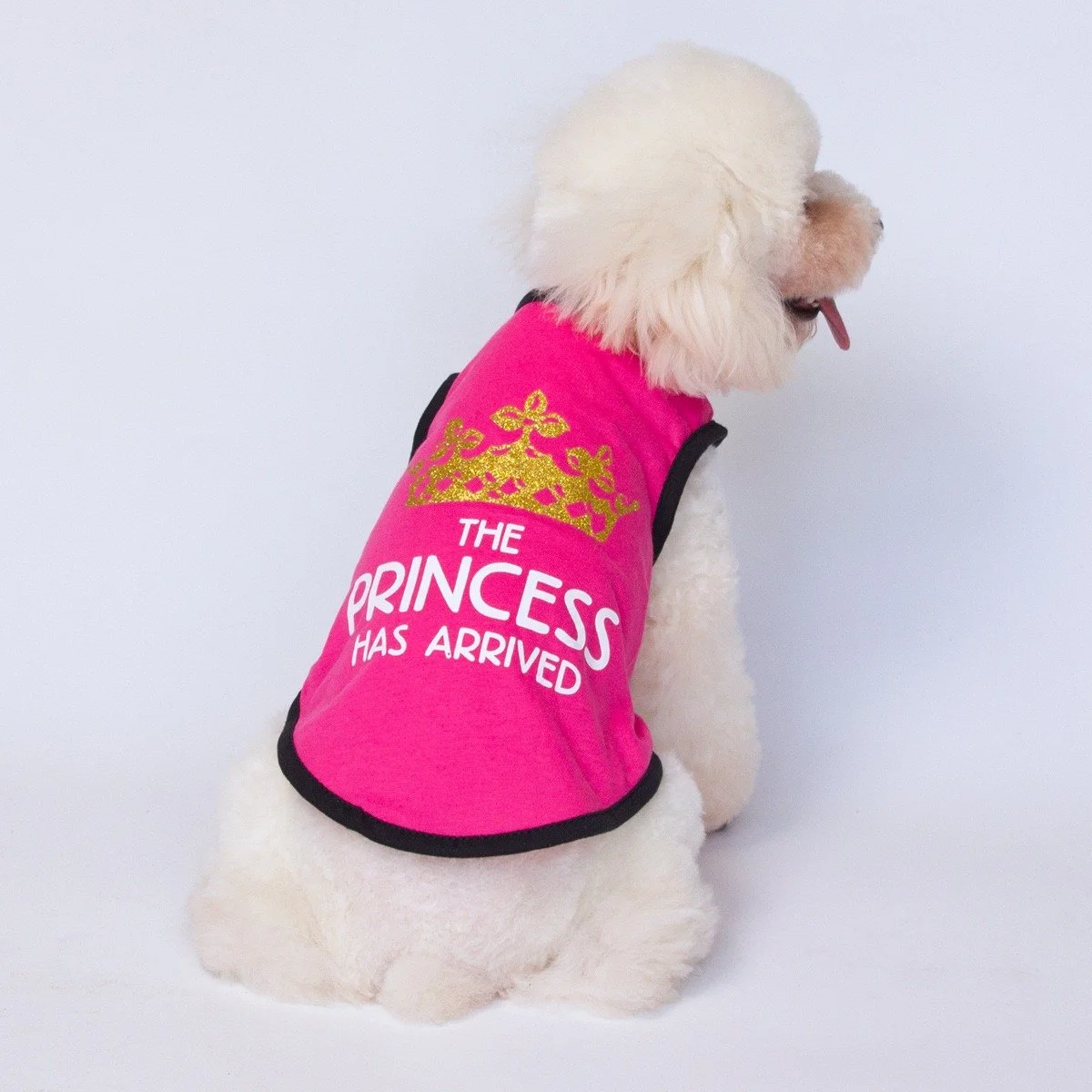 Princess Crown Dog Vest - Breathable Summer T-Shirt for Small & Medium Dogs
