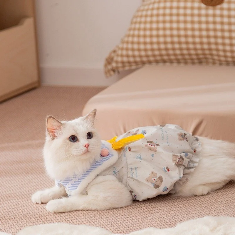 Princess Pumpkin Pet Dress