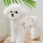 Cherry Print Button Shirt for Small Dogs – Lightweight & Breathable