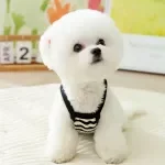 Black & White Striped Dog Vest – Breathable Pet Sling Clothes