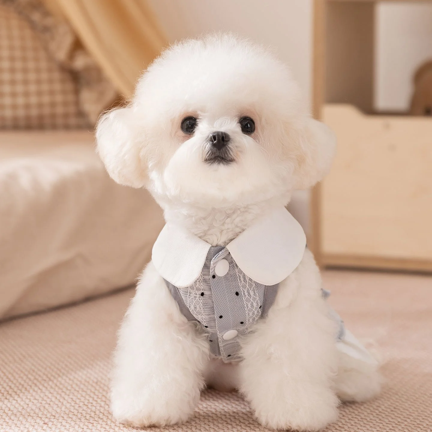 Cozy Polka Dot Dog Dress