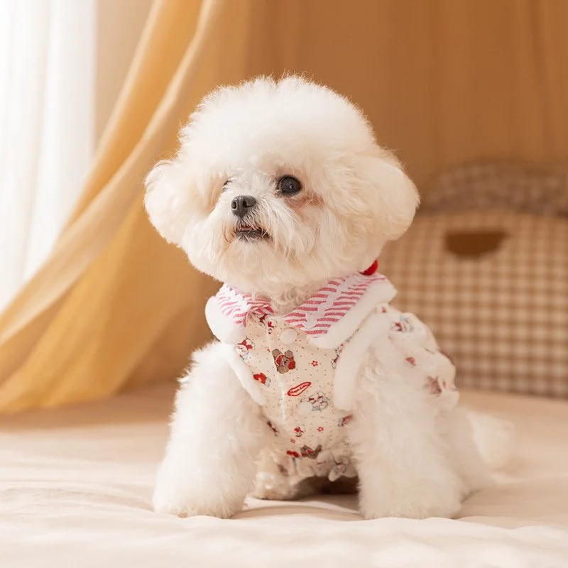 Cozy Pumpkin Princess Dog Dress with Velvet Teddy Coat