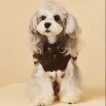Warm Windproof Cotton Dog Coat