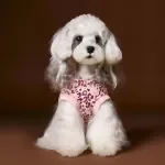 Cozy Winter Fleece Dog Pajamas – Warm Four-Leg Sleepwear for Cold Weather