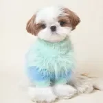 Cute French Fries Cotton Pet Sweater – Cozy Dog & Cat Winter Jacket