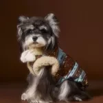 Warm Windproof Cotton Dog Coat – Cozy Monochrome Winter Jacket for Large Dogs