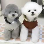 Winter Sports Dog Hoodie – Warm, Soft & Stylish Pet Sweatshirt