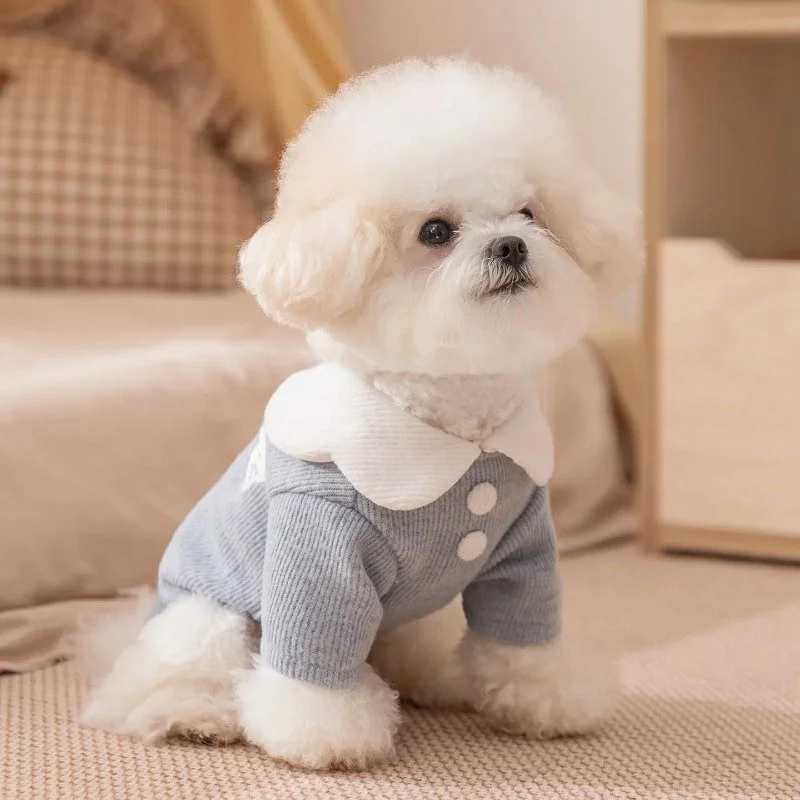 Winter Dog Vest – Cute Warm Two-Legged Shirt with Cartoon Bear Embroidery