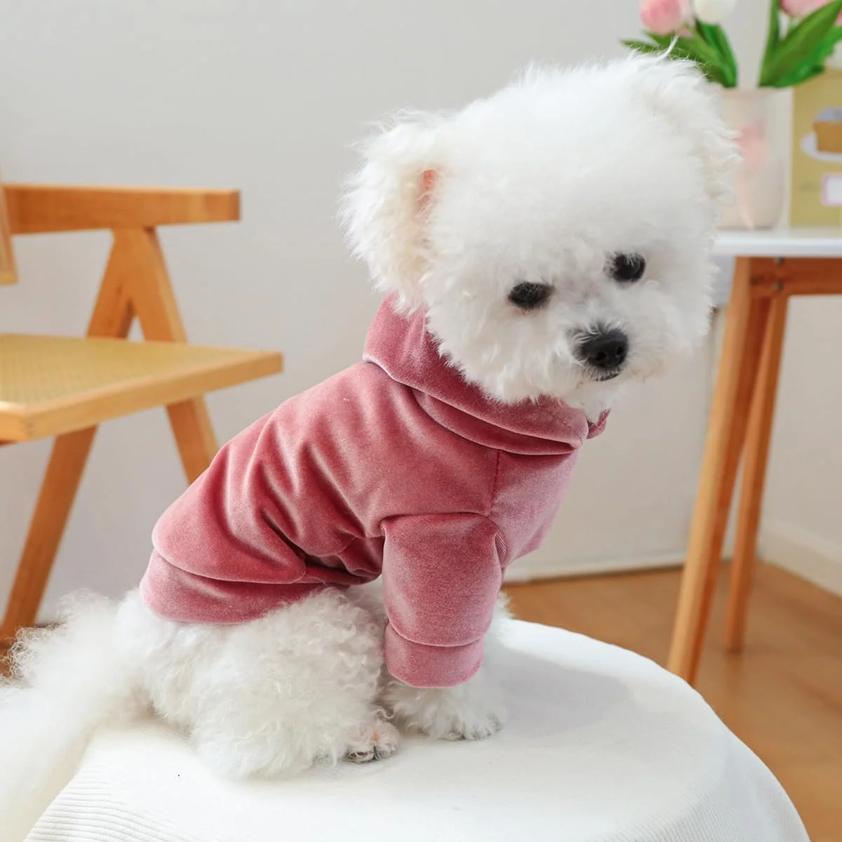 Cozy Velvet Hooded Sweatshirt for Small Dogs
