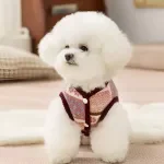 Cozy Snowflake Winter Vest – Windproof Cotton Jacket for Small Dogs