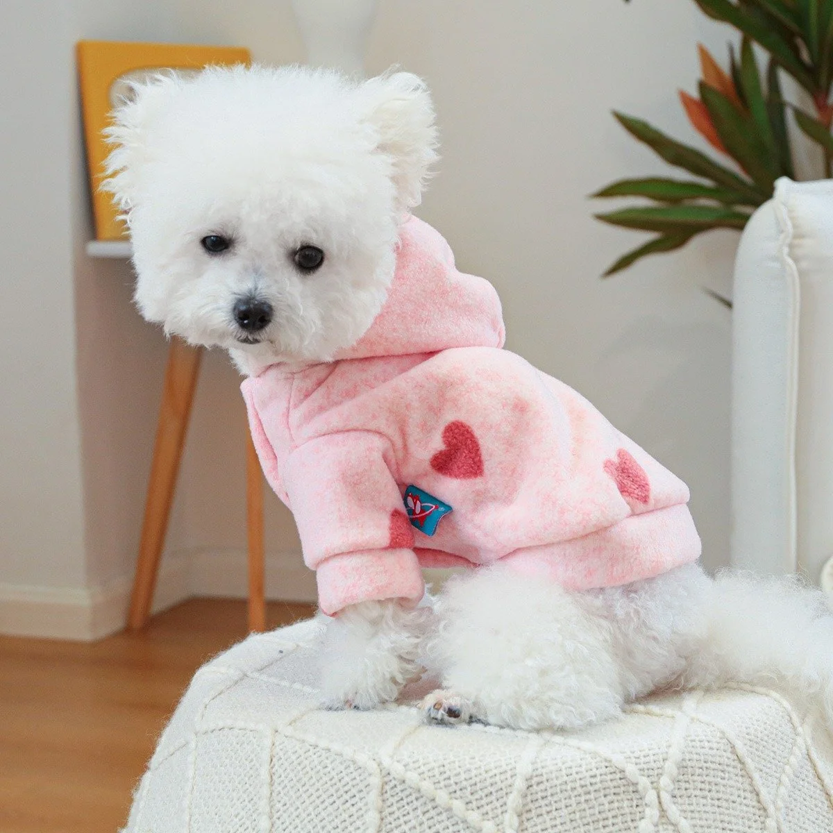 Bichon Frise Pink Heart Dog Hoodie – Soft Winter Sweatshirt for Small Pets