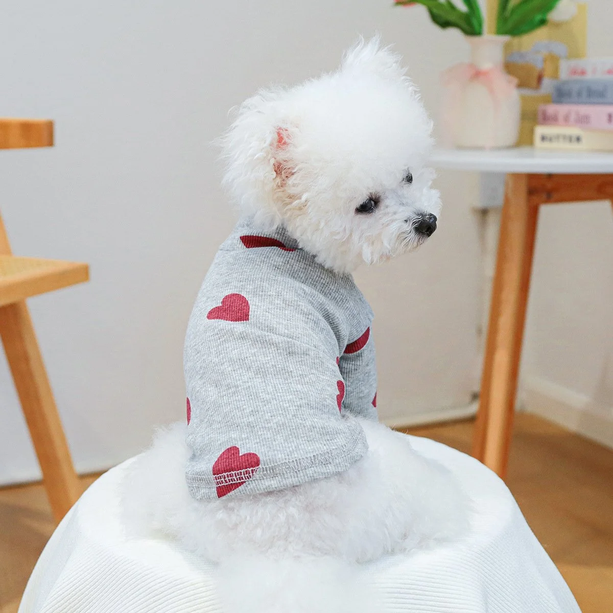 Cozy Autumn & Winter Pet Base Coat Sleepwear