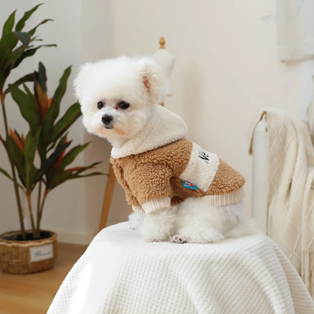 Cozy Fleece Hooded Pet Jacket for Small Dogs & Cats