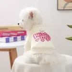 Pet High Neck Winter Heart Hoodie for Small Dogs and Cats