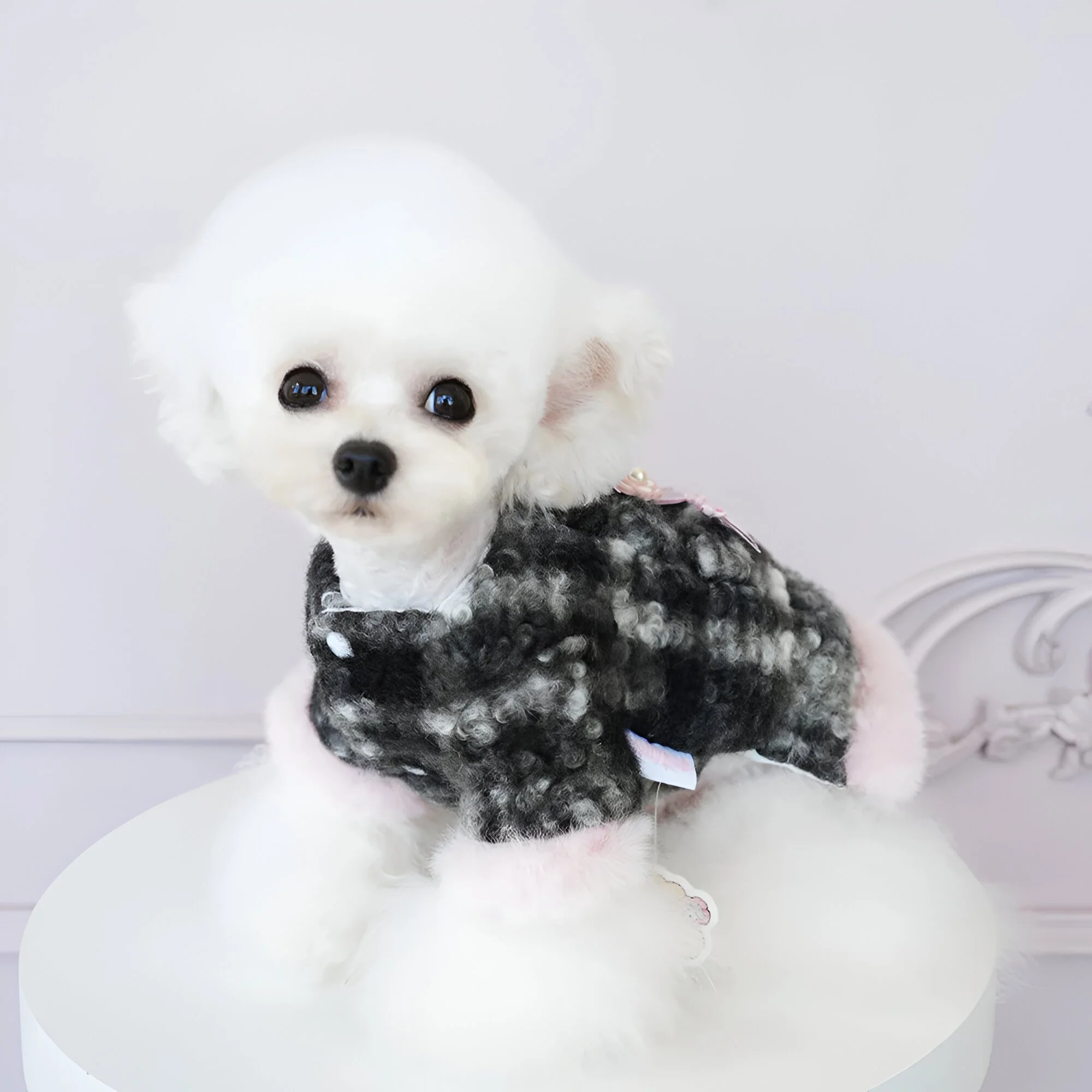 Cozy Plaid Puppy Fleece Coat – Warm Winter Two-Leg Skirt Outfit