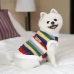 Cozy Rainbow Stripe Plush Pet Coat for Small Dogs & Cats