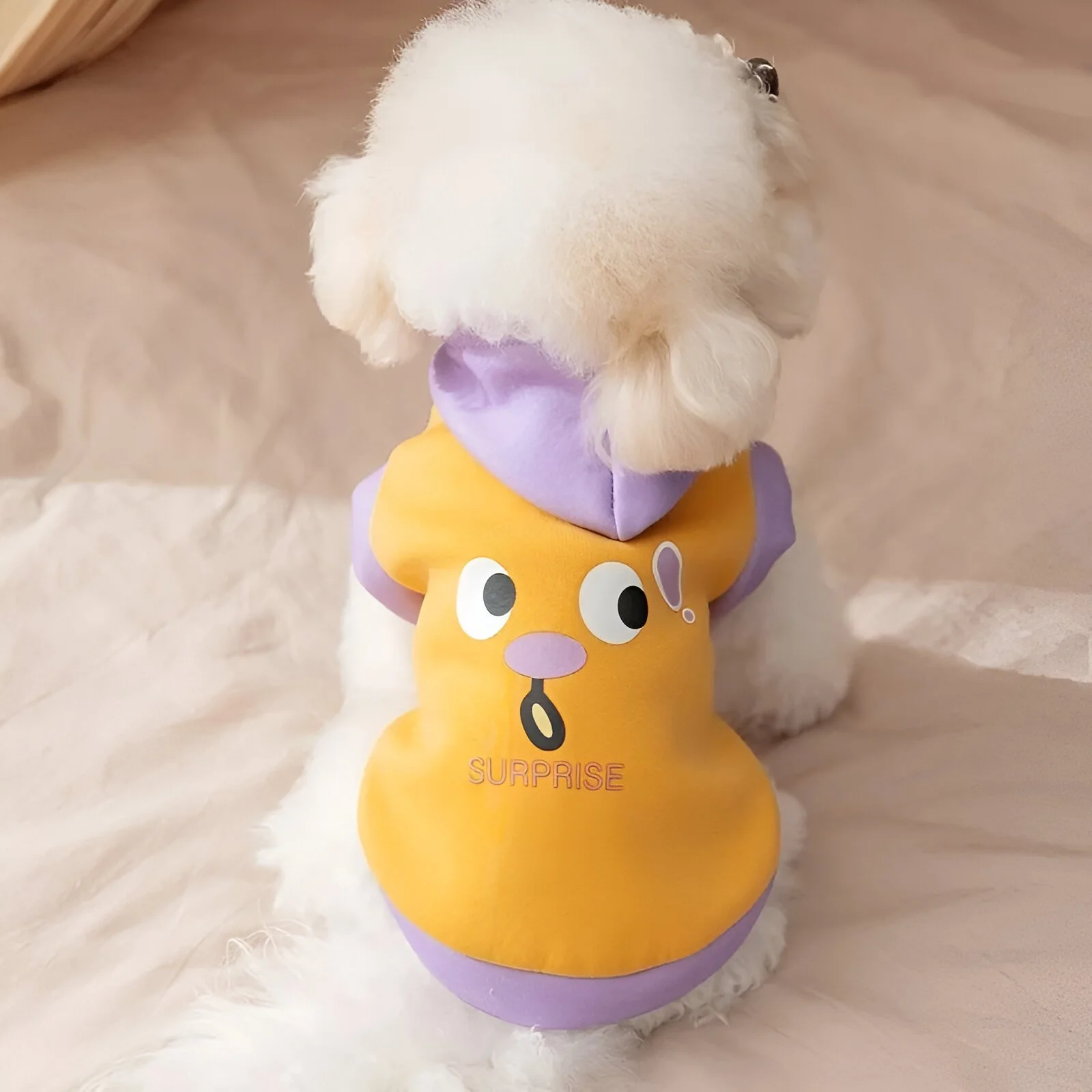Warm Cartoon Pet Hoodie for Dogs & Cats
