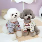 Cute Car Print Winter Hoodie for Small Dogs