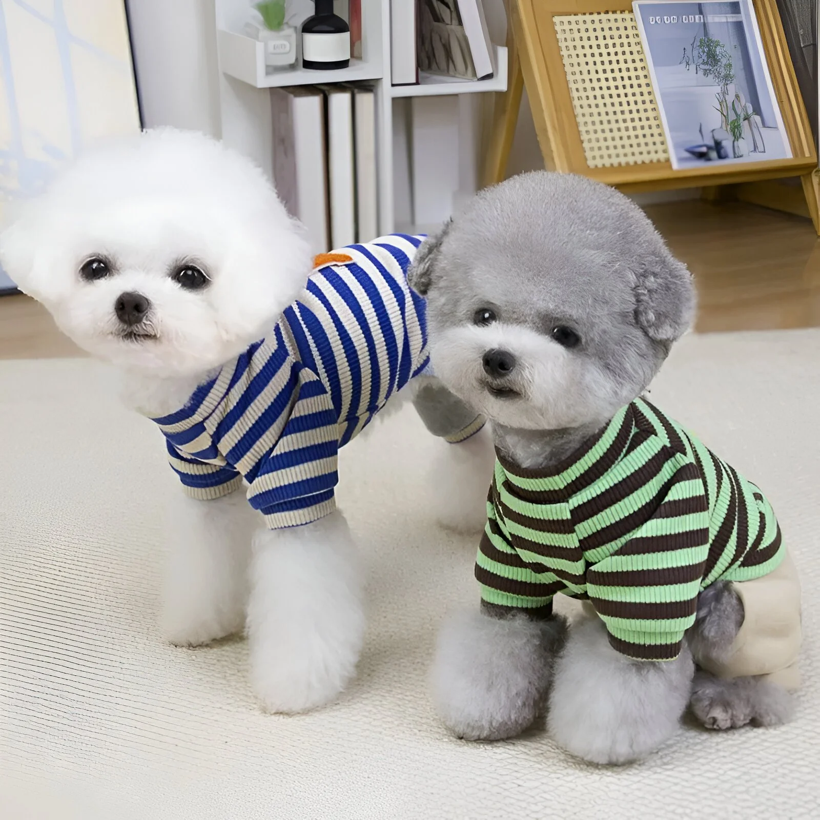 Winter Luxury Striped Pet Jumpsuit