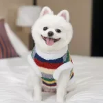 Winter Plush Pet Hoodie – Soft, Warm & Colorful Striped Outfit for Dogs & Cats