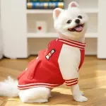 Cozy Bear Patch Fleece Baseball Jacket for Dogs & Cats
