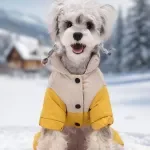 Warm Waterproof Winter Dog Jacket with Cozy Hood