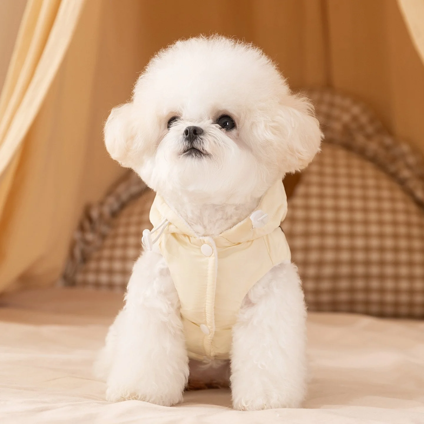 Cute Bow Winter Dog Jacket with Hoodie and D-Ring
