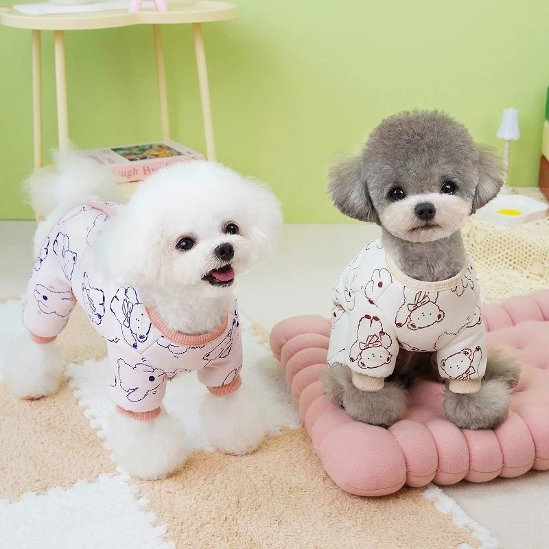 Fashionable Winter Dog Down Jacket