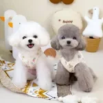 Warm Teddy Cotton Vest for Small Dogs & Cats – Cozy Winter Jacket