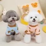 Four-Legged Teddy Bear Printed Winter Jumpsuit for Small Dogs