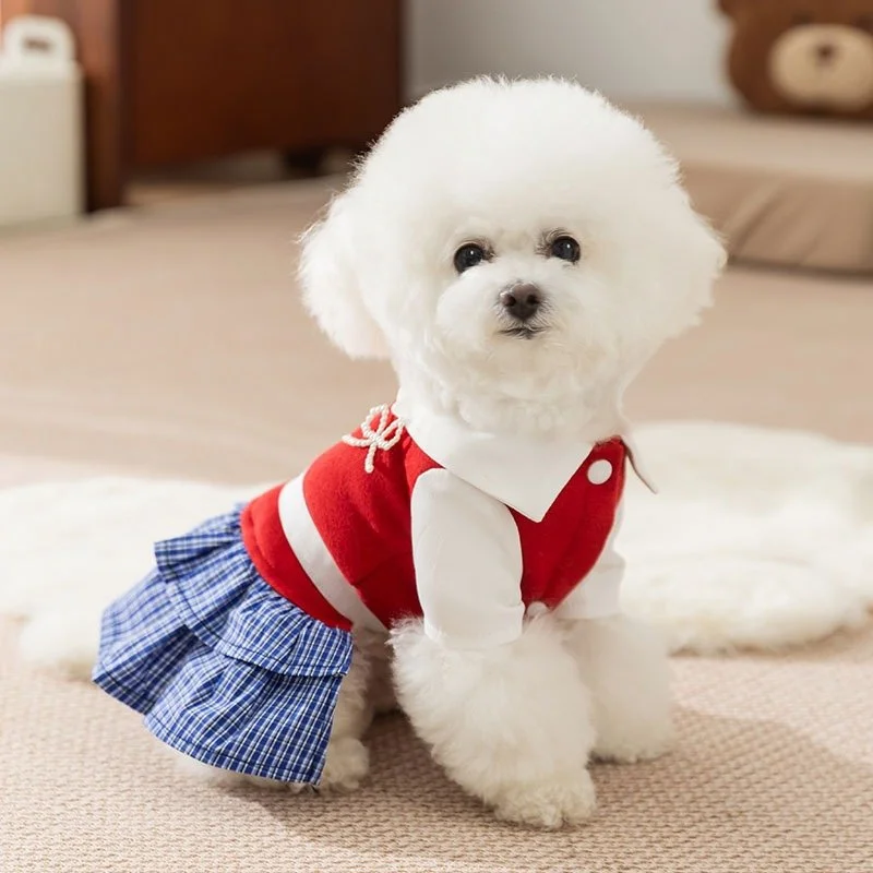 Stylish Dog Winter Dress