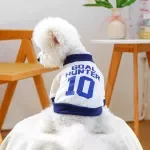 Color Block Dog Hoodie Vest – Cozy Hoodie T-Shirt for Small Dogs