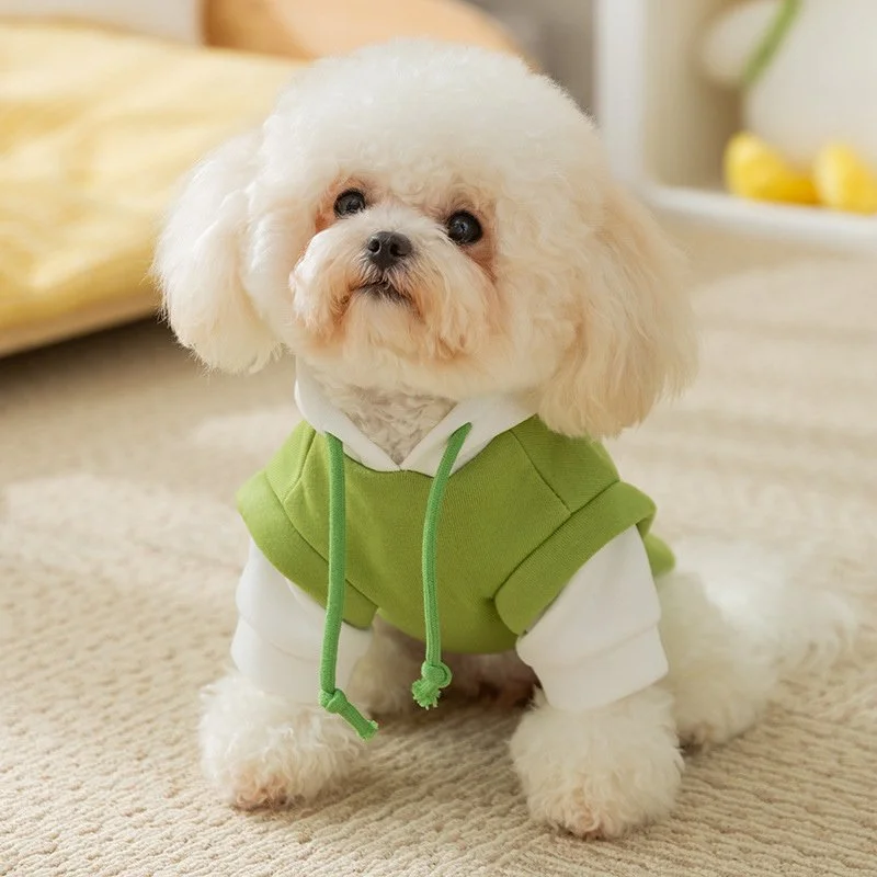 Cozy Pet Hoodie with Drawstring Hood for Cats & Small Dogs