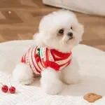 Red Cherry Striped Knitted Dog Sweater for Small Dogs