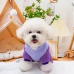 Winter Fleece Dog Jumpsuit with Four Legs Warm Pet Pajamas