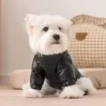 Warm Two-Leg Dog Down Jacket with Zipper & Leash Buckle