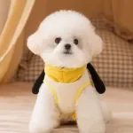 Cartoon Hooded Winter Down Jacket for Small Dogs