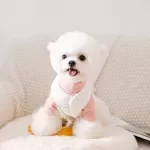 Checkered Cotton Dog Vest with Buttons & Pockets – Warm Fall Winter Pet Jacket