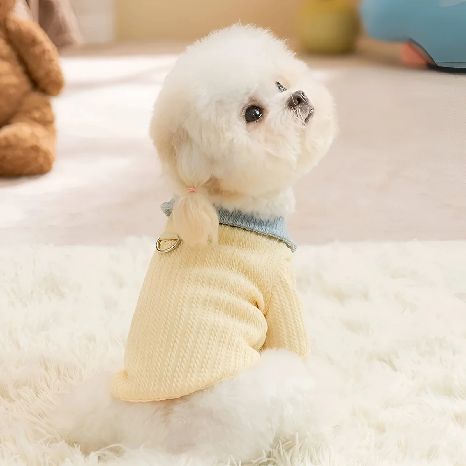 Luxury Solid Dog Hoodie for Small Dogs & Cats – Cute Lightweight Pet Shirt