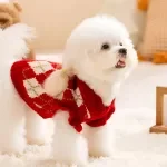 Cherry Plaid Dog Sweater – Warm Winter Pullover for Small Dogs