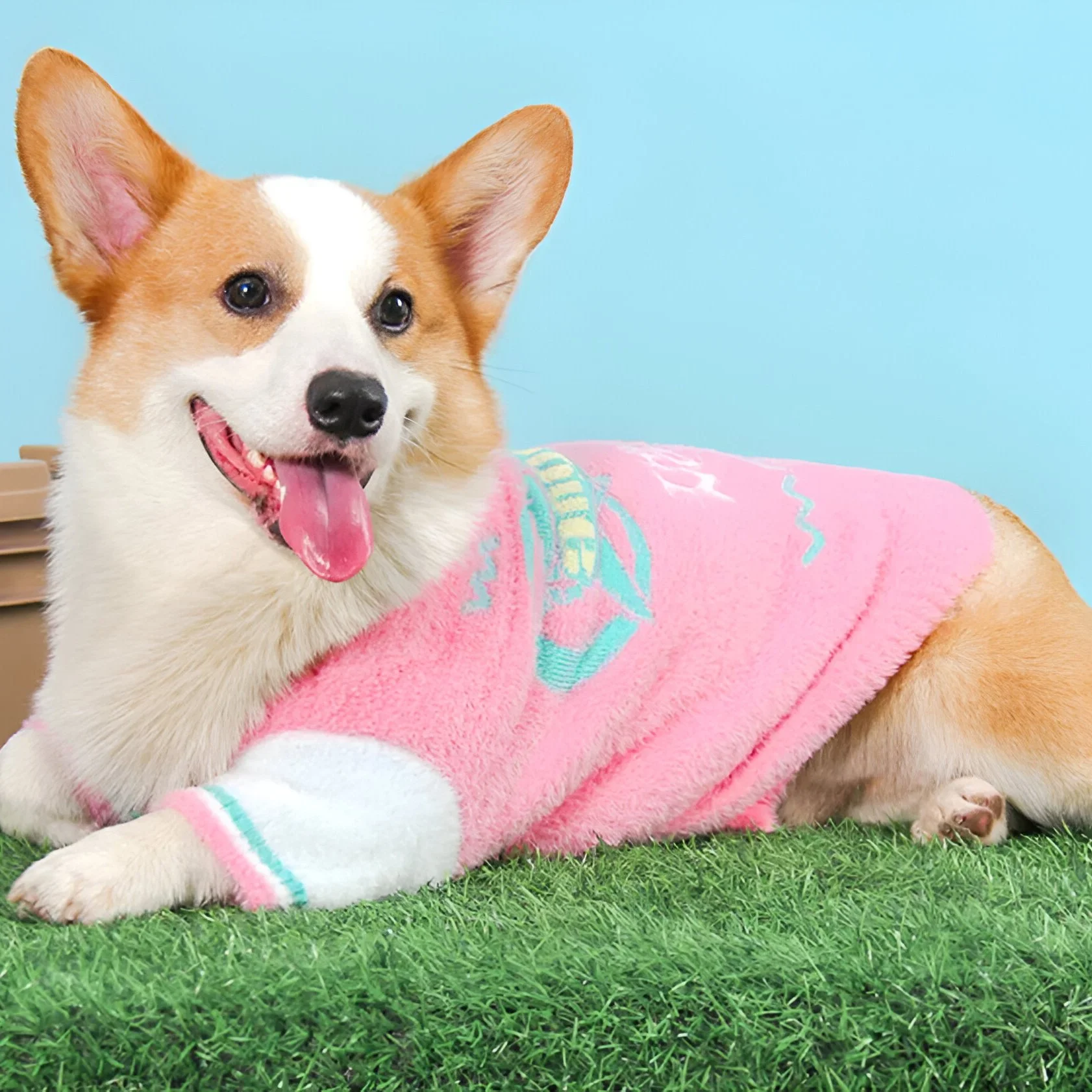 Cute French Fries Printed Cotton Sweater for Pets – Soft Dog Jacket for Small Animals